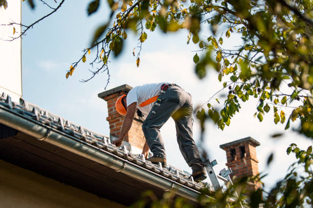 Best Storm Damage Roof Repair  in Apple Mountain Lake, VA
