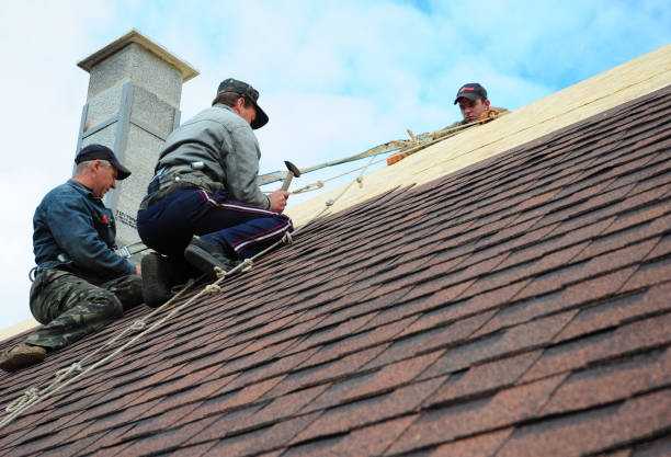 Best Metal Roofing Contractor  in Apple Mountain Lake, VA